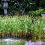 Oase Aquarius Fountain Kit with Pump & Nozzles