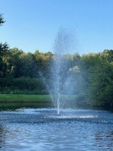 FM-8000 Floating Pond Fountain with Color-Changing LEDs