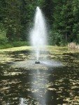 Floating Pond Fountain 3/4 HP with Timer