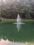 Floating Pond Fountain 3/4 HP with Timer