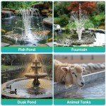 Solar Pond Filter & Pump Kit with Tubing
