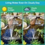 Solar Pond Filter & Pump Kit with Tubing