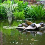 Solar Pond Fountain Pump Kit with Filter Box