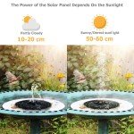 Solar Powered Floating Bird Bath Fountain