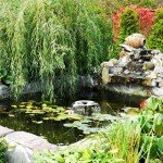 ECO-WORTHY 25W Solar Water Fountain Pump Kit