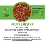 Legacy Fruits & Greens Pond Fountain 40 lbs