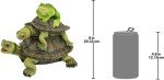 Frog on Turtles Pond Fountain with Pump Kit