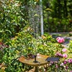 Solar Water Pump Kit for Ponds and Bird Baths