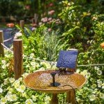 Solar Water Pump Kit for Ponds and Bird Baths