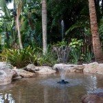 Floating Fountain with Light and Water Spray