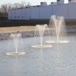 Aqua Marine Swim Fountain with 8 Spray Patterns