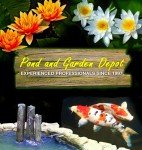 Pro 6000 Floating Pond Fountain with LED Lights