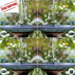 Upgraded Solar Fountain Pump for Outdoor Ponds