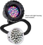 Little Giant Multi-Colored LED Pond Fountain Bulb