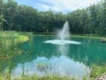 Half HP Floating Pond Fountain with Timer