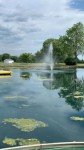 Half HP Floating Pond Fountain with Timer