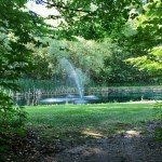 Half HP Floating Pond Fountain with Timer
