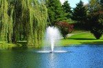 Kasco Marine 3/4HP Aerating Pond Fountain with Cord