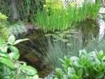 11' x 11' Pond Kit with 3100 GPH Pump