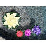 Smiley Scapes Koi Garden Fountain with Pump