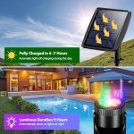 Solar RGB LED Pond Lights & Fountain Kit