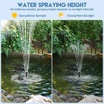 25W Solar Pond Fountain Pump with Flow Kit
