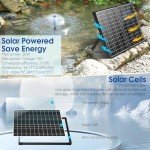 Solar Fountain Kit with 30W Pump and Filter