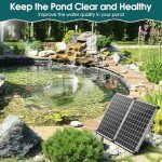 55W Solar Pond Filter & Pump Kit