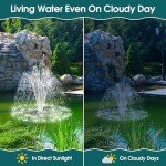 55W Solar Pond Filter & Pump Kit