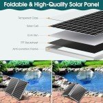 55W Solar Pond Filter & Pump Kit