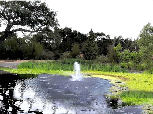 Custom Pro FT 14000 GPH Floating Pond Fountain