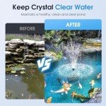 Pond Filter and Pump Kit with Solar Fountain
