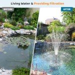 Solar Pond Fountain Pump with Filter Kit