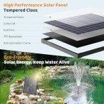 Solar Pond Fountain Pump with Filter Kit
