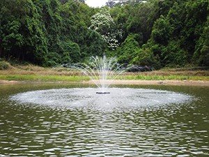 Large Pond Floating Fountain with Color-Changing Lights