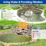 Solar Pond Filter and Pump Kit with Protection