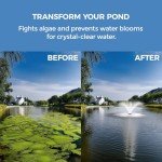 Henkur 1HP Floating Fountain Pump for Ponds