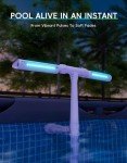Solar Pool Fountain with Color-Changing Lights