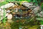 Wi-Fi Remote for RGB Pond Fountain Lights
