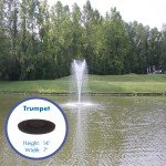 1 HP Aerating Pond Fountain with LED Lights