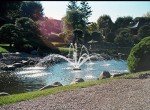 Kasco 3/4HP J Series Pond Fountain with Lighting