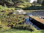 Energy Efficient 1HP Pond Aerating Fountain