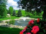 Kasco 1 HP Aerating Pond Fountain with 50ft Cord
