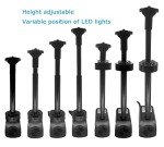 Lewisia Water Pump Kit with LED Light & Spray