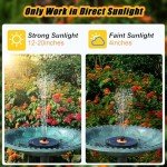 Solar Fountain with Orange Flower & 7 Nozzles