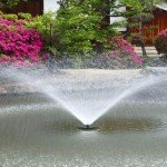 Solar Floating Fountain Pump for Bird Baths