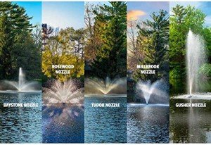 Great Lakes 1 HP Pond Fountain with Nozzles