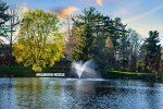 Great Lakes 1 HP Pond Fountain with Nozzles