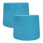 Kasco Macro Zyme Bacteria Blocks for Ponds - 2 Pack