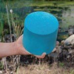Kasco Macro Zyme Bacteria Blocks for Ponds - 2 Pack